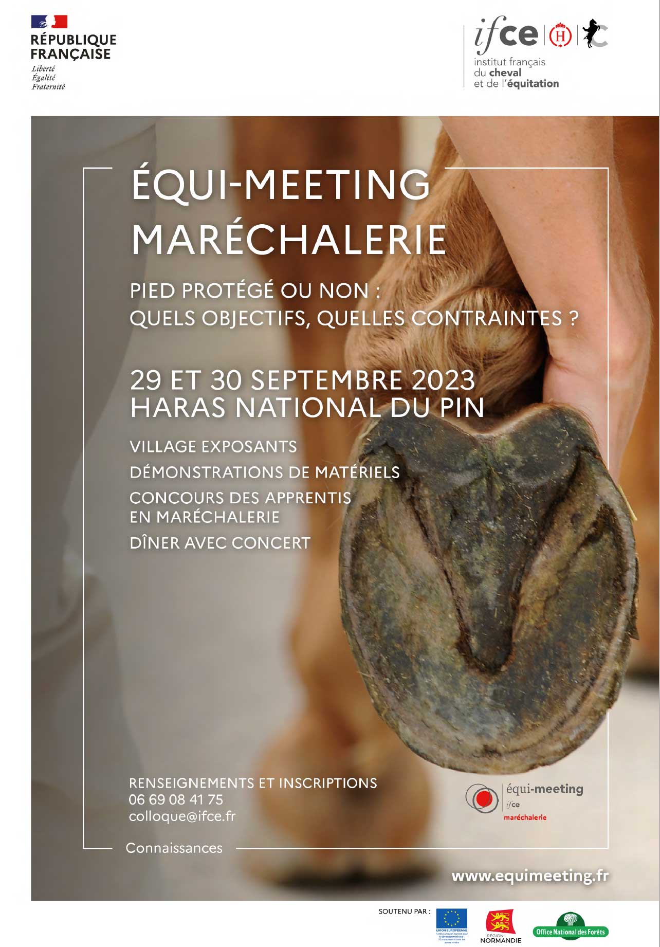 affiche-equimeeting