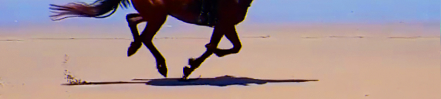 galop-plage-01