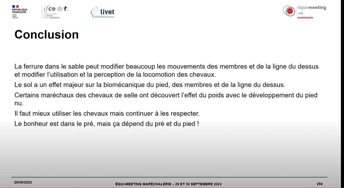 conclusion veto